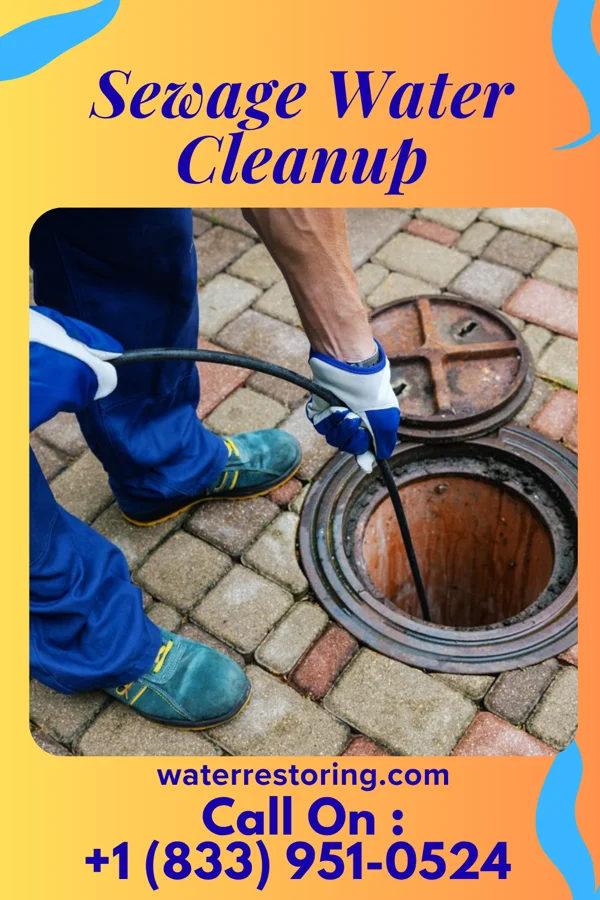 Sewage Water Cleanup in Suncrest, WA